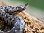 ������ ����������� ����� � ��������� ���� � ����� 