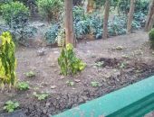 � ������ ������ ����� � ����� ����������� �����