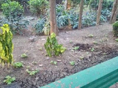 � ������ ������ ����� � ����� ����������� �����