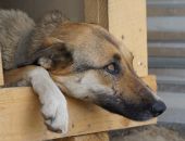 � ����� ��������� �� ��������� �� 50 �������� � ����