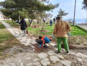 � �������� ������ ���������