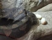 � �������������� ���� ����� ������� ����� �����