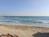 � �������� ����� �������