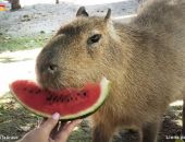 �������� ��������� � �����: �������� ����� ����� 2 ��� ������