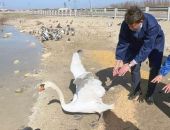 ���������� ����� �������� ���������� ������� � ������� �� �� ����