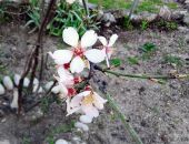 �������� ��������: 75 ���� �� ����