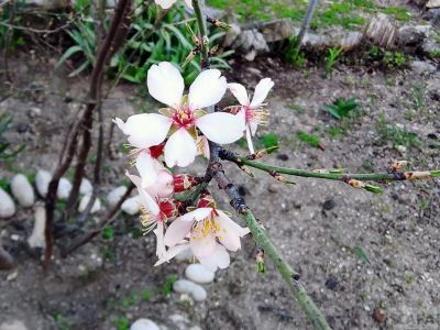 �������� ��������: 75 ���� �� ����