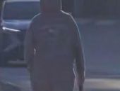 ��������  ����� �������� ������ �� ������ � ����