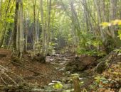 � ����� ��������� �������� �������������� �����