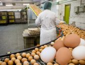  ����� 150 ��������� ��� � 2025 ���� ��������� � �����