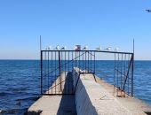 ����� �� ���������  � ������ �������