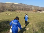 �������������������� �������� �������� � �������������� ������