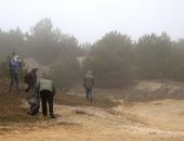 ���������� ������� ��������� �� ����� ����