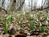  �� ��������� ����������� � ����� ������ �������� �����