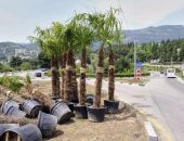 ���� ����� ����� ������� � ����� 