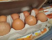  � �������� ��������� ����� ������ 5 ����� ��������� ���