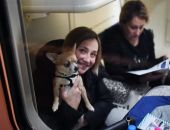 ���� � ������ ����� � ���-10 ����������� ��� ������ � ��������� � �����