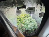 � �������� ����� ������ �������, ������� ��������� �������