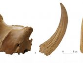 ����� ��������� �������� ���� ������� � ������ �����