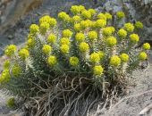 �������, �� ������: � ����� ������ ������� 