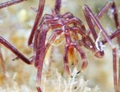 ����� ���� ������ ����������� � �����