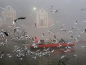 ���� 14% ������� ���� � 2025 ���� ��������������� ����������� � �������� �������