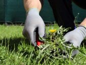 � �������� ������ � ���������