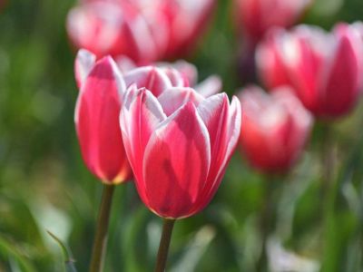 � ��������� ������������ ���� 27 ����� ��������� ��������� ����� ���������