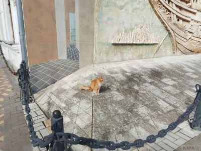 ��������: ���������� ����