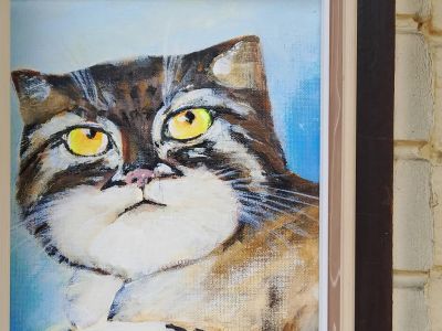 ��������: ���������� ����
