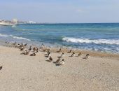 �������� ���������� ������