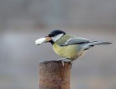 � ������ ����� �������������� � ��������� � ������ �� ��� ������