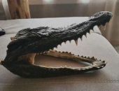 � ����� ��������� �� ������� ������ ���������