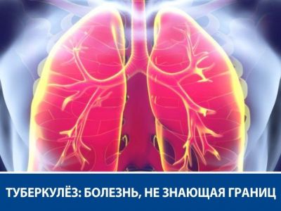 � 24 �����  -  ����� ������ � ������������