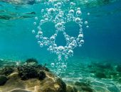 ���� ������ ��������� ������������ � ���� � ������� �����