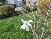 � ������ � "���� �������" �������� ��������