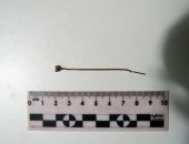 � �������� �������� ������� ������ �� ����� ������� ��������� 