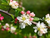 � ����� ������� ������ ������