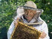 � ����� ����� ����� �������� ���� ����