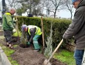 � �������� ���������� ���������� ������� ����������