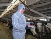 ������� ������� ���� � ����� ��������� �� ������������ �����������