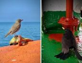 ������� ����� �� ����� � �������� ���� ������� ����������� ����