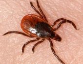 � ����� ���  ���������������� 7 ������� ��������� �������� �����������