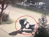 � ����� ������� ������ ����� ����� � �������� �� �������� 