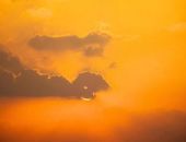 ���� ������� ������� ����� �� ������: ���� ��������� � ������ ����