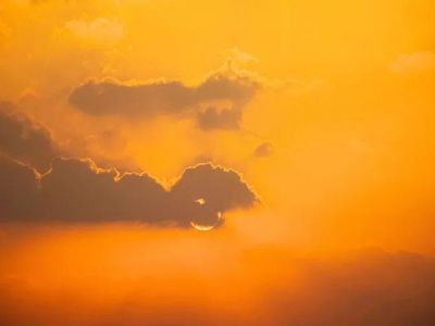 ���� ������� ������� ����� �� ������: ���� ��������� � ������ ����