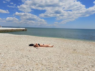 � �������� ����� ���������� ������ ������ 47 ������
