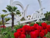 ���� �������� ���� ��������