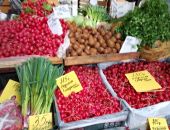 ����� �������� ������ ����������� ������