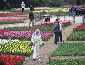 � ��������� ������������ ���� �������� "����� ���������"